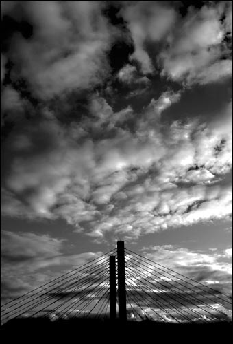 Tacoma Postcard, by Steve Naccarato - CABLE STAY BRIDGE