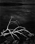 Photograph by Ansel Adams  available from Peter Fetterman Gallery in Santa Monica, CA, 030620