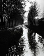 Photograph by Brett Weston available from Photography West Gallery in Carmel, CA, May 2020, 050420